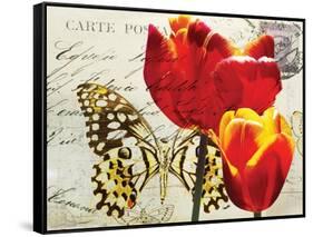 Carte Postale Tulip II-Amy Melious-Framed Stretched Canvas