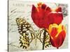 Carte Postale Tulip II-Amy Melious-Stretched Canvas