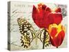 Carte Postale Tulip II-Amy Melious-Stretched Canvas