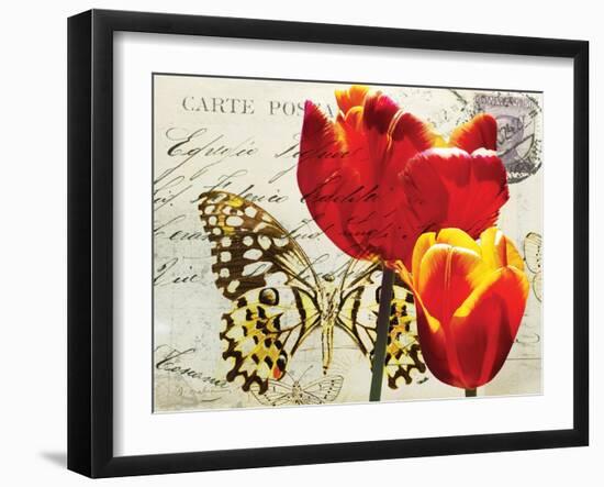 Carte Postale Tulip II-Amy Melious-Framed Art Print