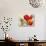Carte Postale Tulip II-Amy Melious-Art Print displayed on a wall
