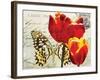 Carte Postale Tulip II-Amy Melious-Framed Art Print