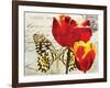 Carte Postale Tulip II-Amy Melious-Framed Art Print