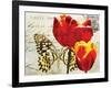 Carte Postale Tulip II-Amy Melious-Framed Art Print