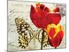 Carte Postale Tulip II-Amy Melious-Mounted Art Print