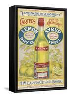 Carter's Lemon Syrup - Lemonade in a Moment-null-Framed Stretched Canvas