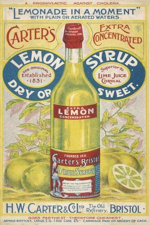 Drink Belorange vintage citrus drink ad poster 18x24