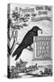 Carter's Little Liver Pills Advertisement Depicting a Crow-null-Stretched Canvas