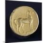 Carthage Gold Stater Depicting Wild Horse, Verso, Carthaginian Coins BC-null-Mounted Giclee Print