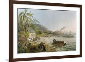 Carting and Putting Sugar Hogsheads on Board', Plate X from 'Ten Views in the Island of Antigua'-William Clark-Framed Giclee Print