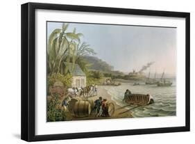 Carting and Putting Sugar Hogsheads on Board', Plate X from 'Ten Views in the Island of Antigua'-William Clark-Framed Giclee Print