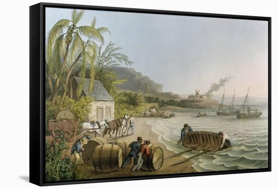 Carting and Putting Sugar Hogsheads on Board', Plate X from 'Ten Views in the Island of Antigua'-William Clark-Framed Stretched Canvas