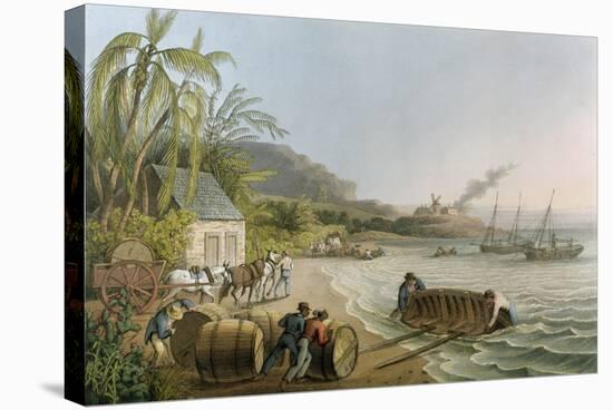 Carting and Putting Sugar Hogsheads on Board', Plate X from 'Ten Views in the Island of Antigua'-William Clark-Stretched Canvas