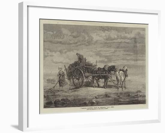 Carting Seaweed, Coast of Normandy, from the Exhibition of the Royal Academy-Samuel C. Bird-Framed Giclee Print