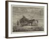 Carting Seaweed, Coast of Normandy, from the Exhibition of the Royal Academy-Samuel C. Bird-Framed Giclee Print