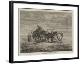 Carting Seaweed, Coast of Normandy, from the Exhibition of the Royal Academy-Samuel C. Bird-Framed Giclee Print