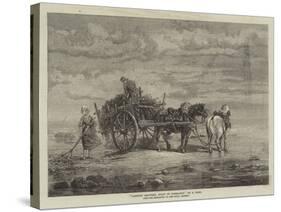 Carting Seaweed, Coast of Normandy, from the Exhibition of the Royal Academy-Samuel C. Bird-Stretched Canvas