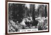 Carting Timber, Victoria, Australia, 1928-null-Framed Giclee Print