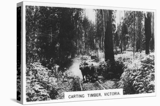 Carting Timber, Victoria, Australia, 1928-null-Stretched Canvas
