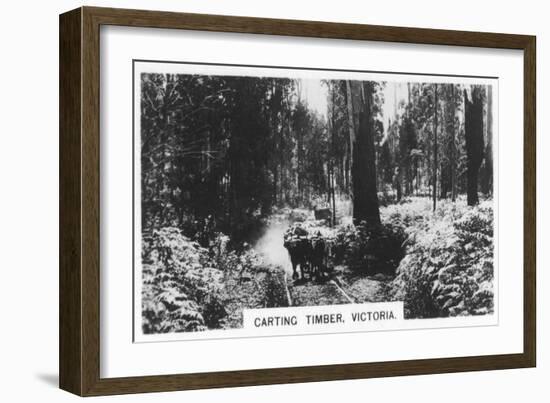 Carting Timber, Victoria, Australia, 1928-null-Framed Giclee Print