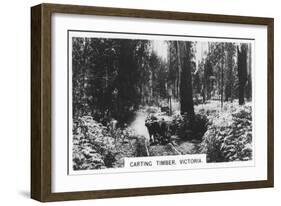 Carting Timber, Victoria, Australia, 1928-null-Framed Giclee Print