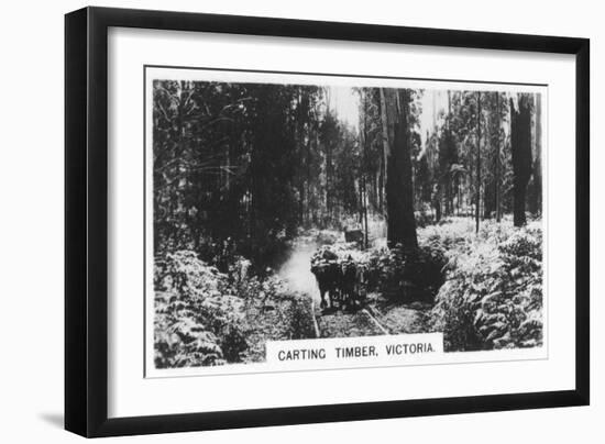 Carting Timber, Victoria, Australia, 1928-null-Framed Giclee Print