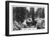 Carting Timber, Victoria, Australia, 1928-null-Framed Giclee Print