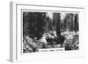 Carting Timber, Victoria, Australia, 1928-null-Framed Giclee Print