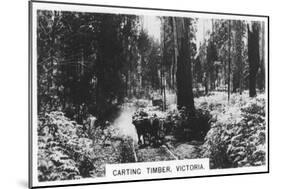 Carting Timber, Victoria, Australia, 1928-null-Mounted Giclee Print