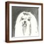 Brown Frame