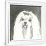 Gramercy White