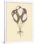 Gramercy White