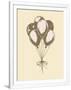 Gramercy White