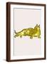 Brown Frame