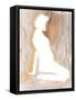 Framed Canvas