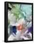 Essential Black