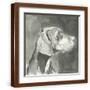 Brown Frame