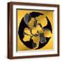 Brown Frame