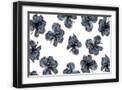Black Frame