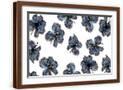 Brown Frame