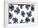 White Frame