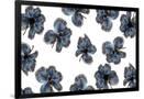 Gramercy Black