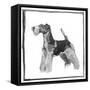 Canvas Black