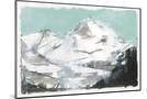 Wood Mount