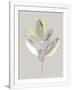 Gramercy White