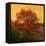 Carton Rouge-Philippe Sainte-Laudy-Framed Stretched Canvas
