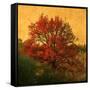 Carton Rouge-Philippe Sainte-Laudy-Framed Stretched Canvas