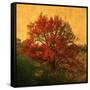 Carton Rouge-Philippe Sainte-Laudy-Framed Stretched Canvas