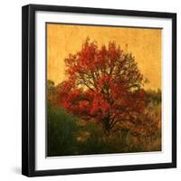 Carton Rouge-Philippe Sainte-Laudy-Framed Photographic Print