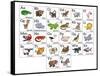 Cartoon Animal Alphabet Chart-Krisdog-Framed Stretched Canvas